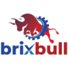 Brixbull